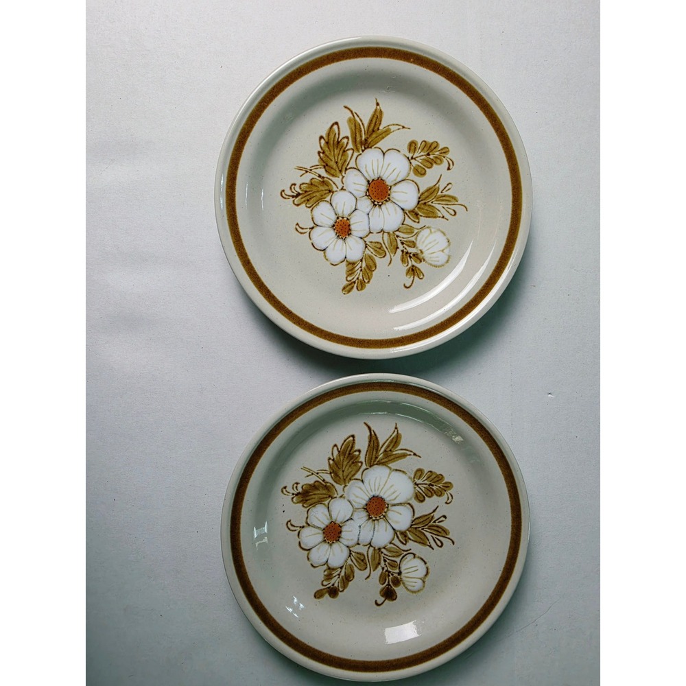 Mountain Wood Collection Stoneware Dried Flowers Bread Plates Japan Set of 2